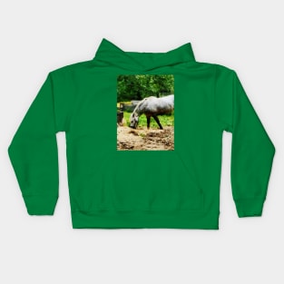 Horses - Appaloosa Eating Hay Kids Hoodie